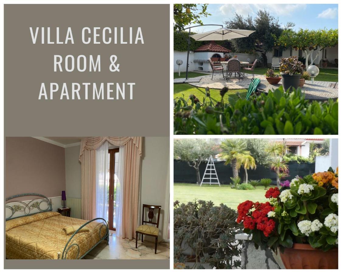 Cellole Villa Cecilia Bed And Breakfast المظهر الخارجي الصورة