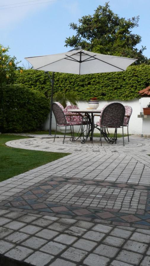Cellole Villa Cecilia Bed And Breakfast المظهر الخارجي الصورة